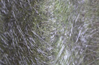 Chatterton fibreglass roof work